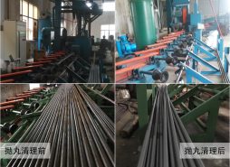 棒材拋丸機